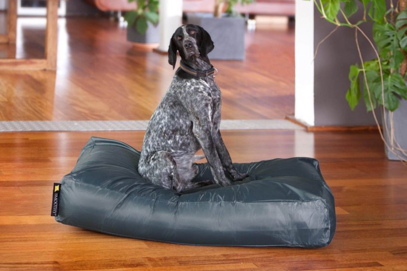 Smoothy Dogbed XXL Dunkelgrau