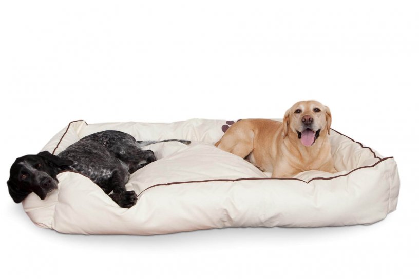 Smoothy Dogbed Leather XXL Beige