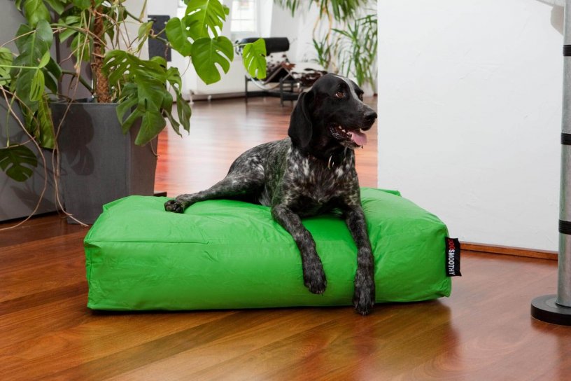 Smoothy Dogbed Classic Grün