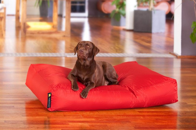 Smoothy Dogbed XXL Rot