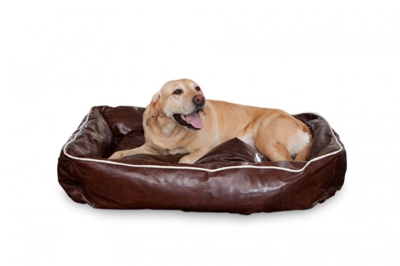 Smoothy Dogbed Leather L Braun