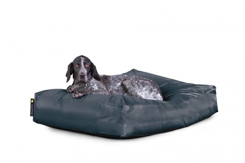Smoothy Dogbed XXL Dunkelgrau