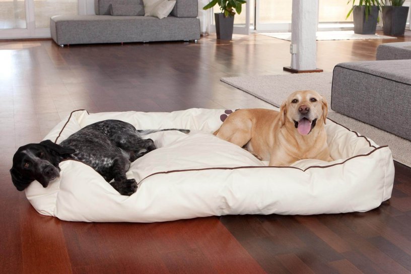 Smoothy Dogbed Leather XXL Beige