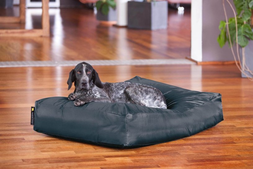 Smoothy Dogbed XXL Dunkelgrau