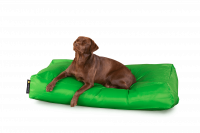 Grün - Dogbed Classic XXL