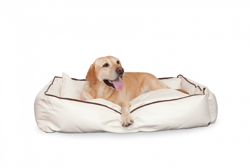 Smoothy Dogbed Leather L Beige