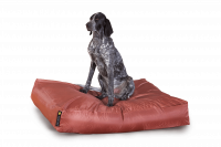 Braun - Dogbed Classic XXL