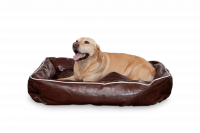 Hundekorb Leather in der Größe L