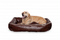 Braun L - Dogbed Leather