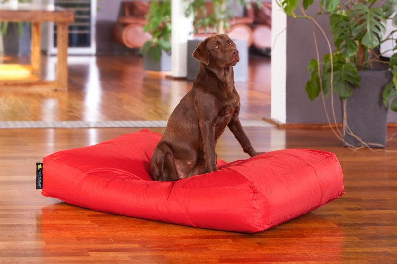Smoothy Dogbed XXL Rot