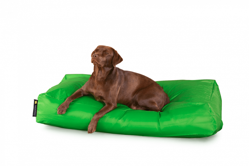 Smoothy Dogbed XXL Grün