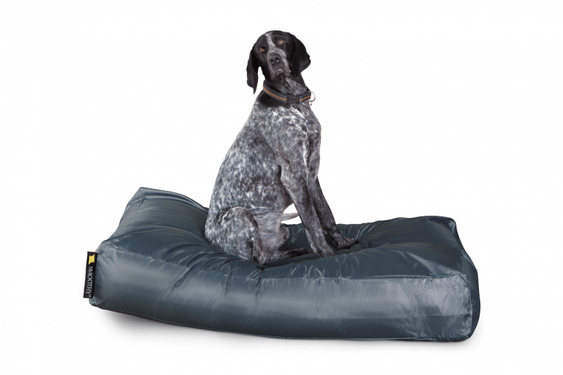 Smoothy Dogbed XXL Dunkelgrau