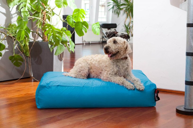 Smoothy Dogbed Classic Blau