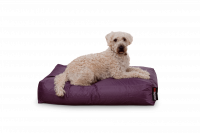 Hundekissen Dogbed Lila