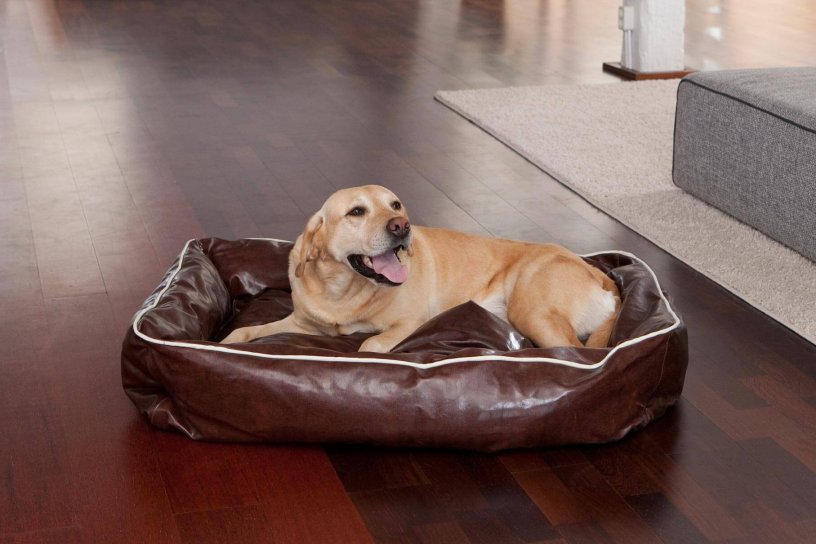 Smoothy Dogbed Leather L Braun