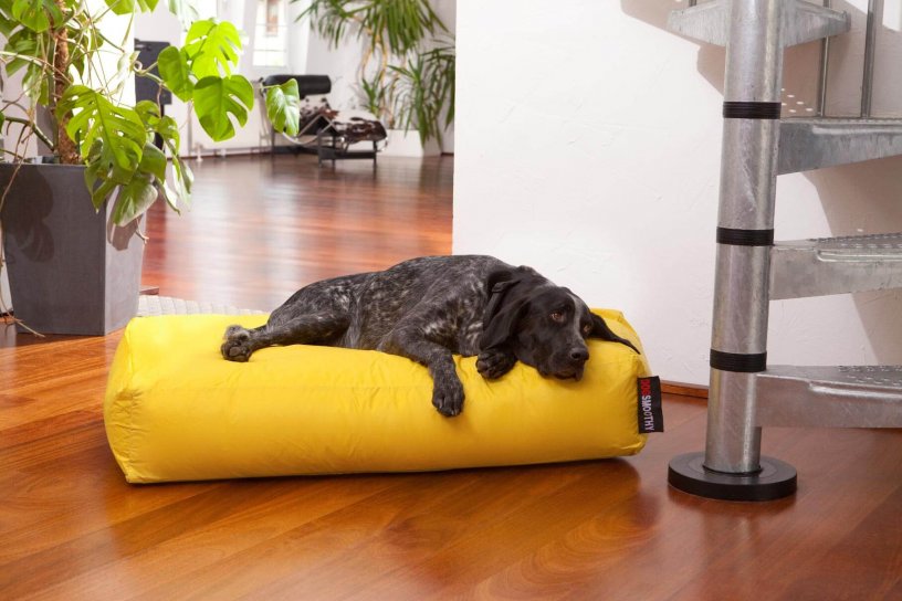 Smoothy Dogbed Classic Gelb