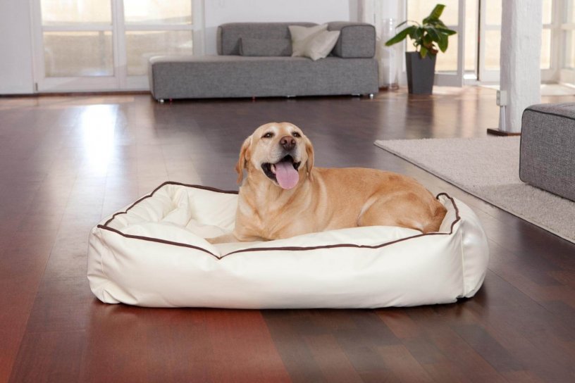 Smoothy Dogbed Leather L Beige