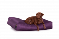 Purpur - Dogbed Classic XXL