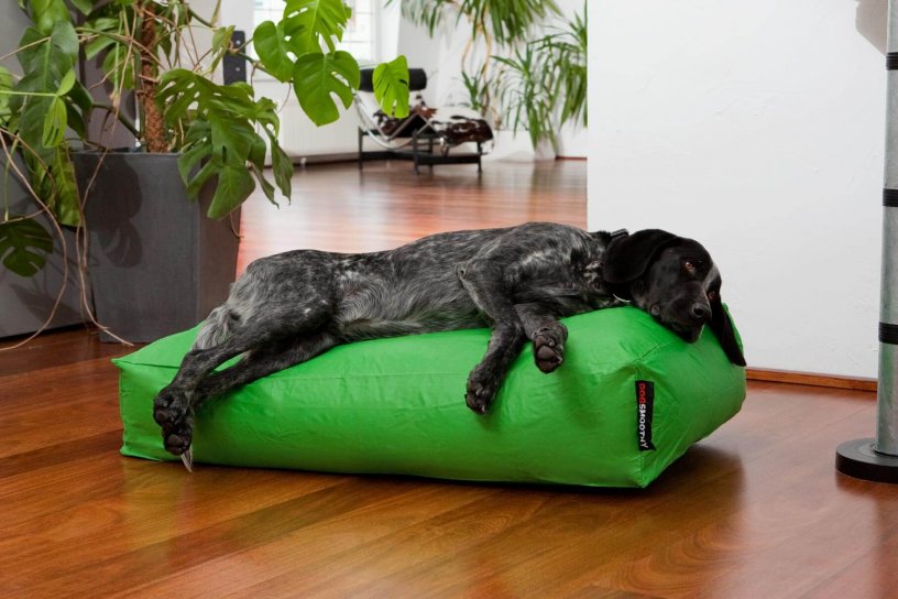 Smoothy Dogbed Classic Grün