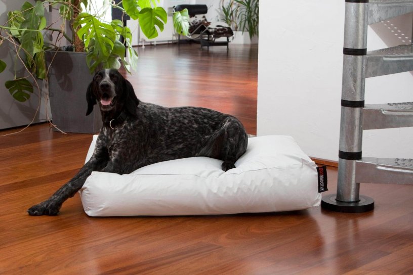Smoothy Dogbed Classic Weiß