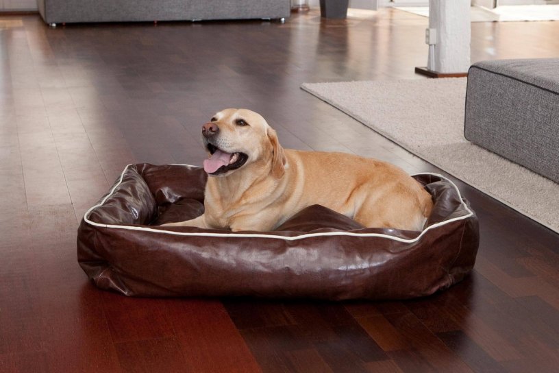 Smoothy Dogbed Leather L Braun